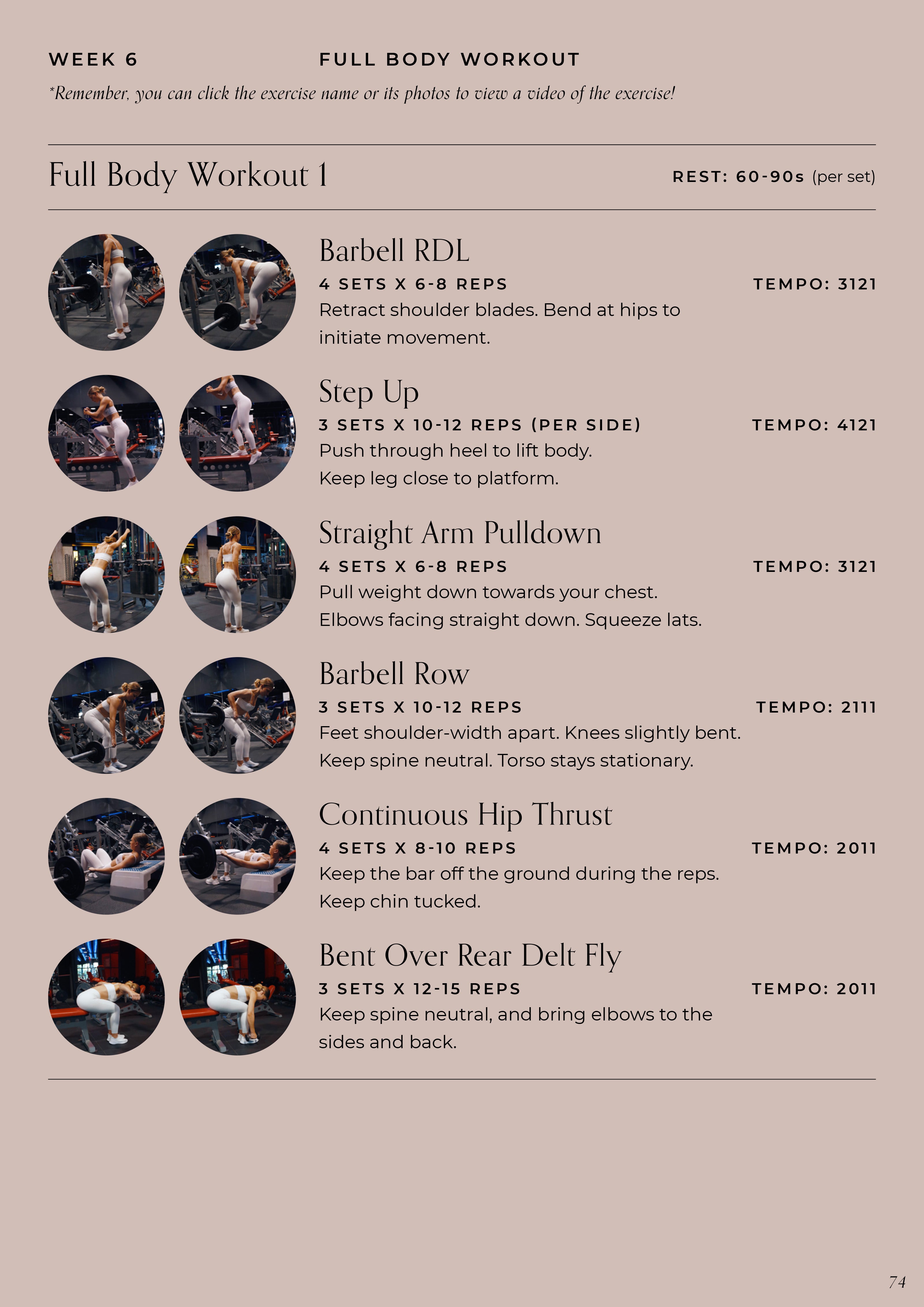 Fat Loss Guide - 6 Week Gym Program