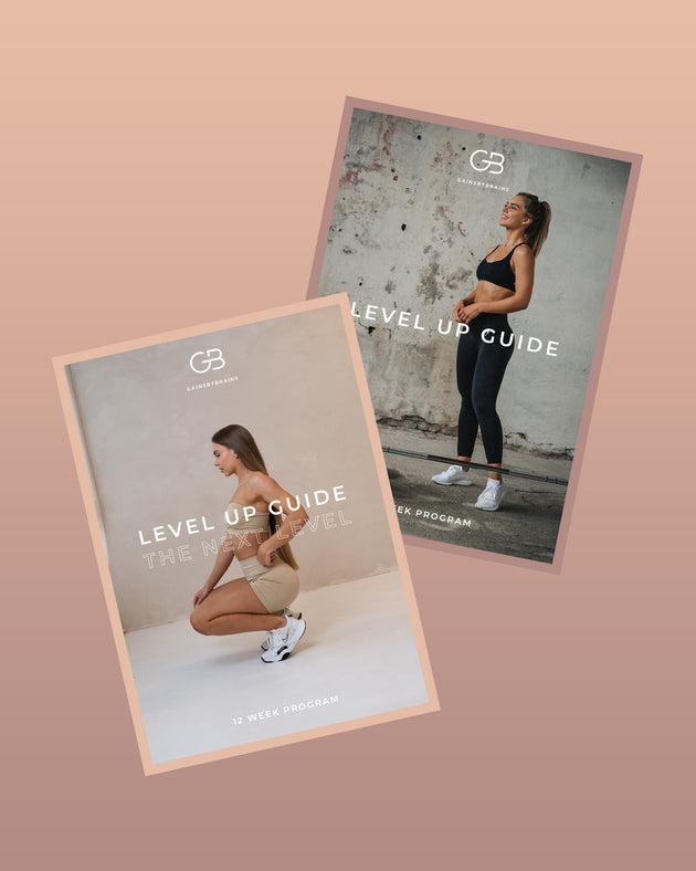 Level Up Guide Bundle