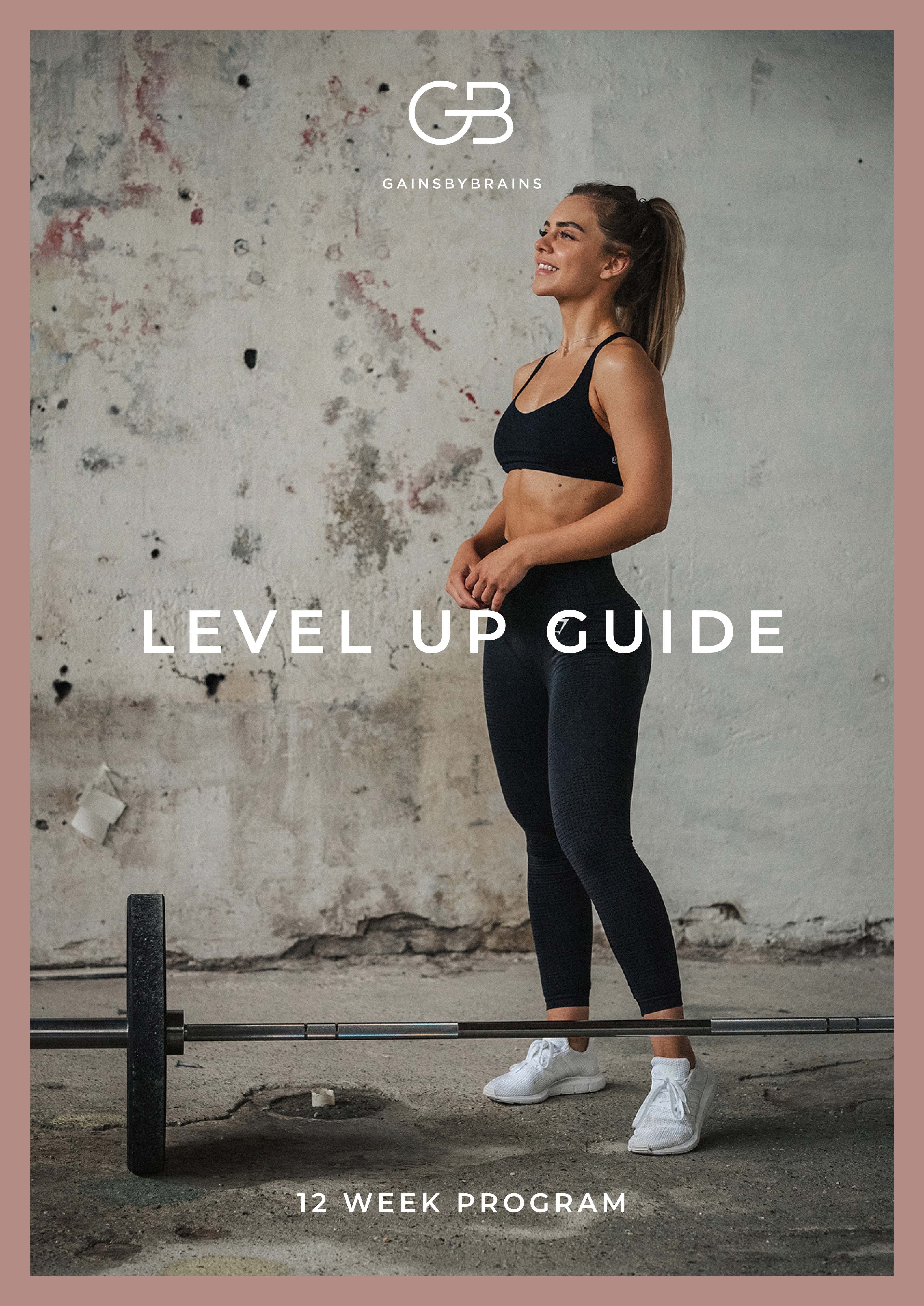 Level Up Guide - 12 Week Gym Program