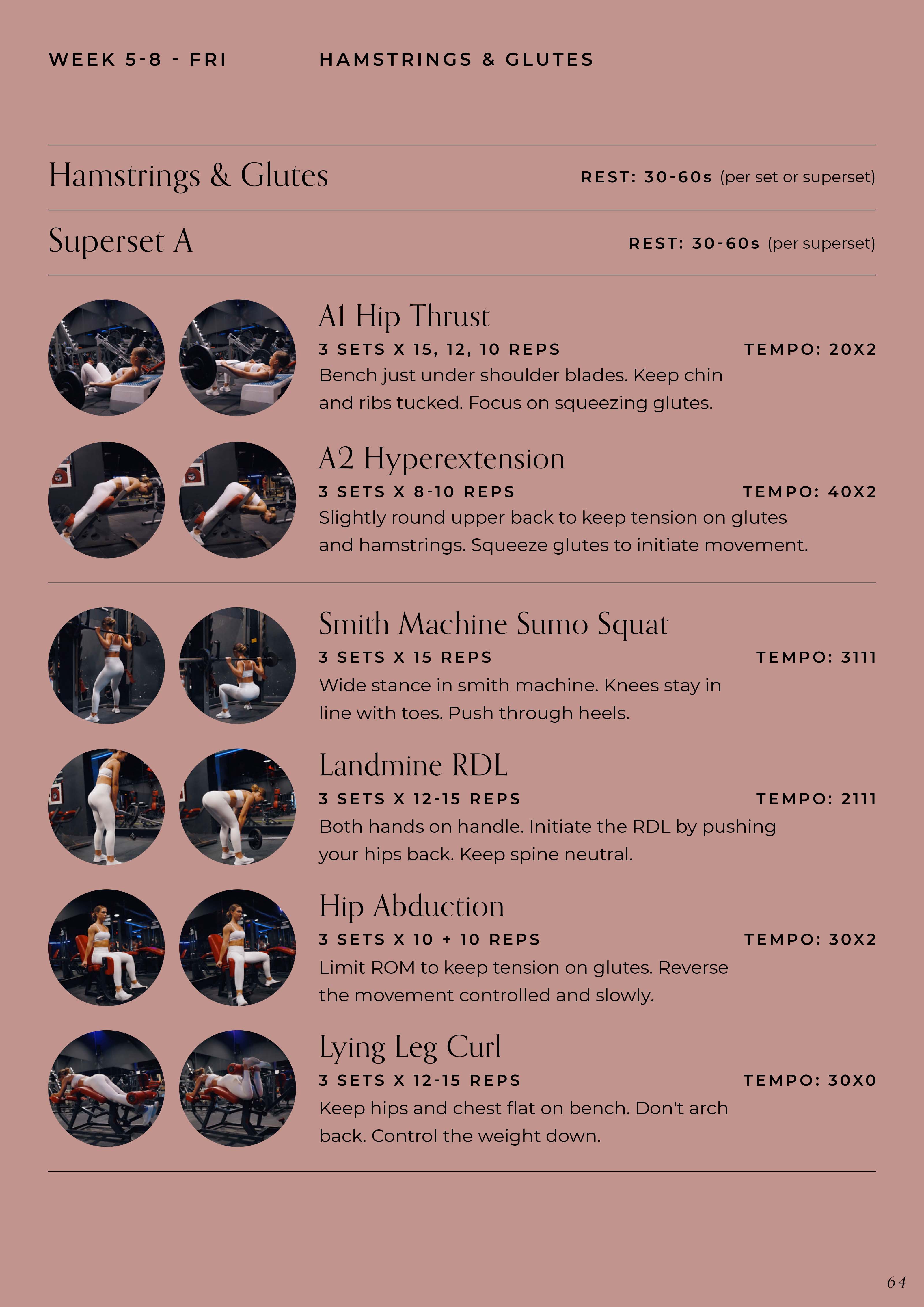 Level Up Guide - 12 Week Gym Program