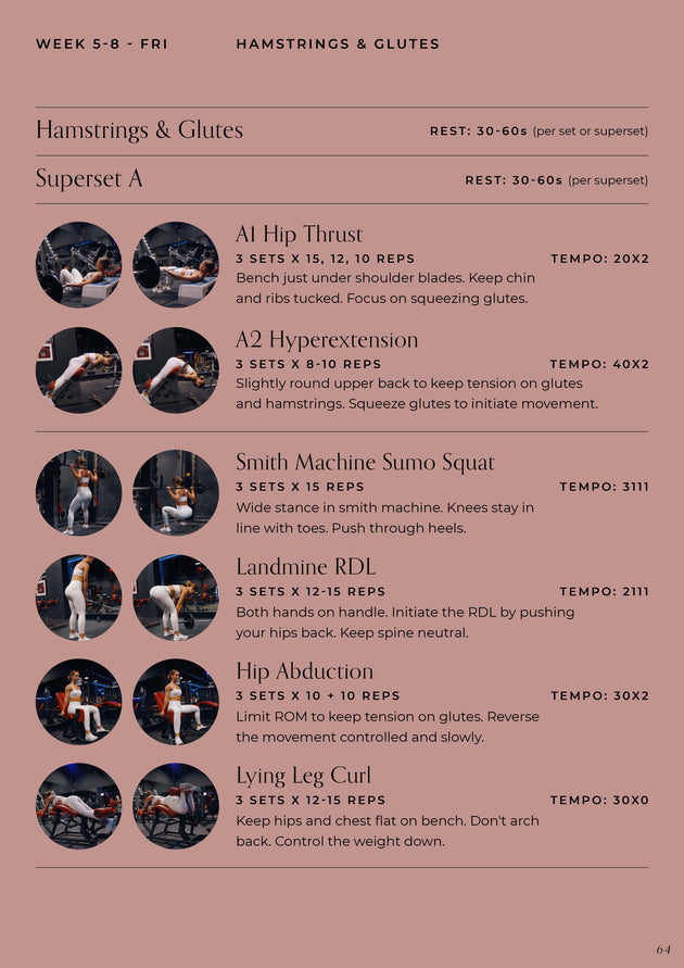 Level Up Guide - 12 Week Gym Program