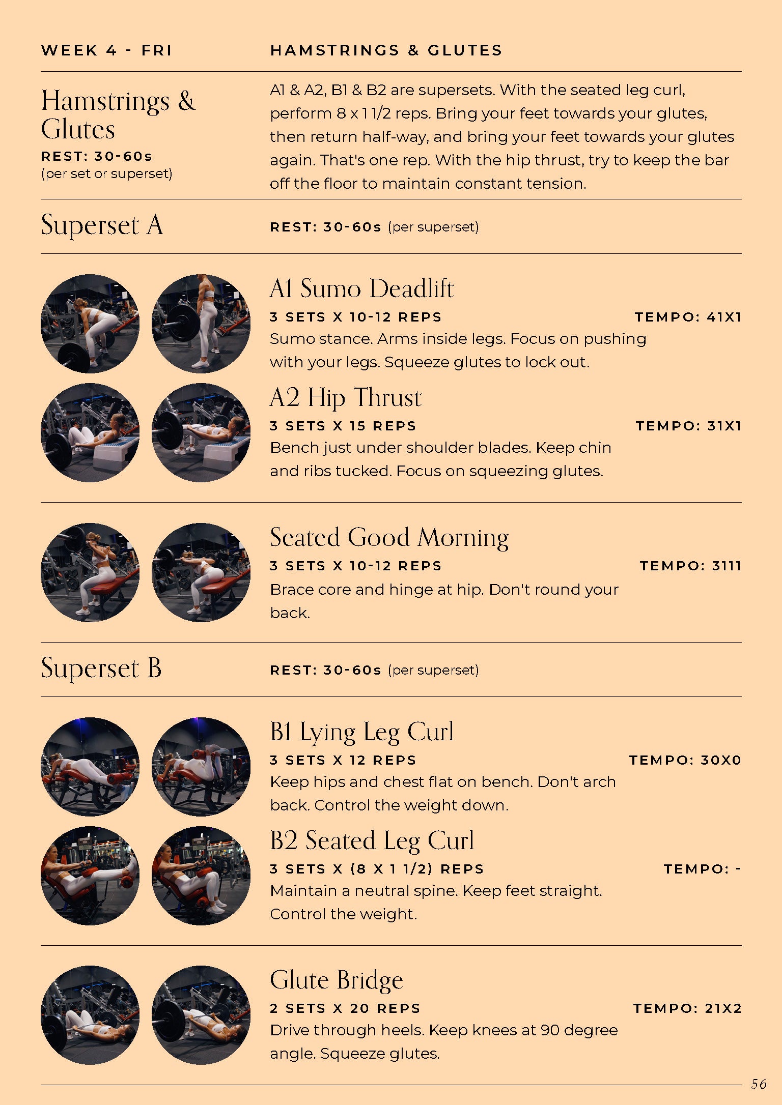 Shred Guide - 6 Week Gym Program